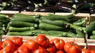 Fruits et légumes