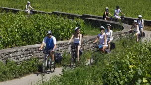 La voie des Vignes aux environs de Beaune