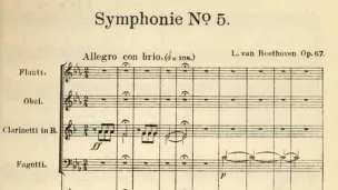 Qu'est ce qu'une symphonie ?