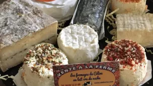 Dans sa ferme, Céline propose des fromages au lait cru de vache à La Bazoge © Les Fromages de Céline