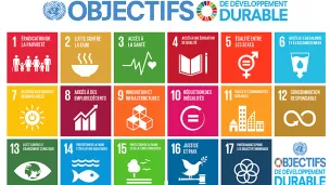 Les 17 obbjectifs du developpement durable ©onu