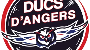 Logo ducs d'Angers