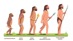 De Neandertal à l'Homo Sapiens © iStock
