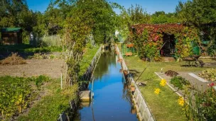 Image d'illustration - Marais de Bourges.