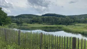 Le Marais de l'Etournel RCF