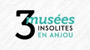 3 musées insolites en Anjou