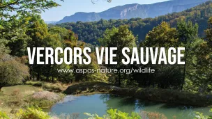 ASPAS - Vercors Vie Sauvage