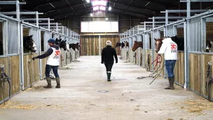 La Ferme des Aubris accueille près de 400 équidés. © Fondation 30 Millions d'Amis