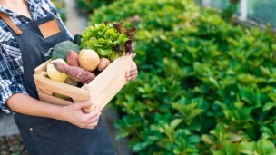 De la terre à l'assiette © iStock