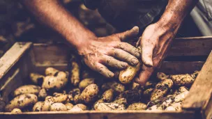 Aider les communes rurales à développer l'agriculture biologique © iStock