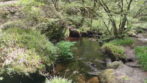 Forêt de Huelgoat ©RCF Sud Bretagne