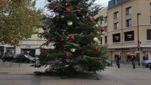 Un sapin de 12 mètres de haut à Châteauroux ! © RCF- Hugo Sastre.