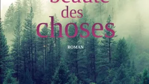 © Couverture du livre "La beauté des choses" de Dominique Gros