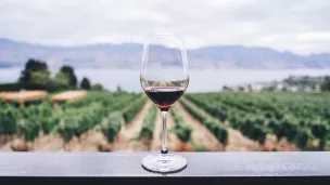 verre de vin - © Kim Ellis via Unsplash