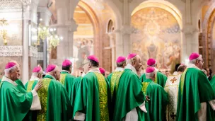 Les évêques à Lourdes lors de l'assemblée plénière des évêques de France en novembre 2019 - Crédits : Guillaume POLI / CIRIC