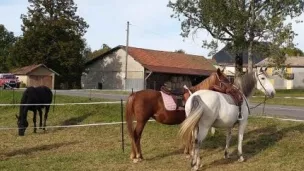 Le domaine équestre de la Maurinière