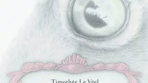" Le lièvre et les lapins " de Timothée Le Veel