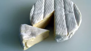 Camembert wikipedia