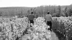 © Domaine Mabillot.