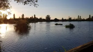 Parc Naturel de La Brenne. © Facebook officiel.