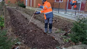 Un travailleurs de la Régie des Quartier s'occupe du jardin partagé @RCF Orne