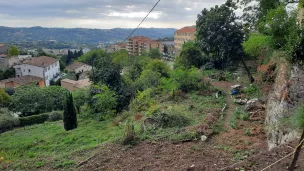 Des terres agricoles à Grasse - Archives RCF