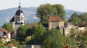 Vue de Treffort Patrimoine des pays de l'Ain