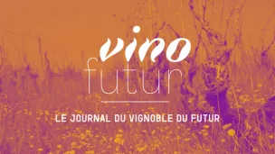 Nouveau magazine Vinofutur