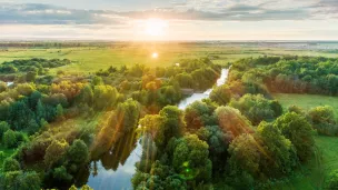 Forêts et environnement sous un autre angle avec Audrey Rousselle © iStock