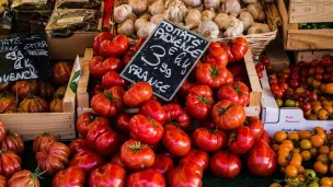 Préserver l'agriculture en Provence. DR