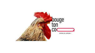 Bouge ton coq!