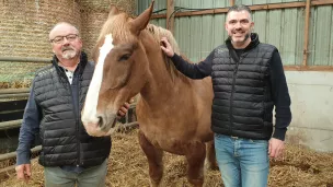 Jean-Jacques et Mathieu Séité, éleveurs de chevaux à Guilers @ Christophe Pluchon, RCF