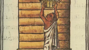 Ensilage du maïs par les aztèques, Codex de Florence, fin xvie siècle ©Wikimédia commons