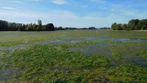 Le Lac d'Auron quasiment à sec en 2019 après la rude sécheresse de l'été ©  Wikimédia Commons