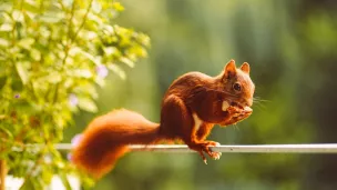 image d'illustration - © Julian Freudenhammer via Pexels