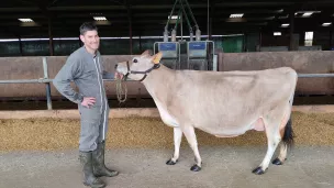 Eleveur au May-sur-Evre, Antoine Bureau présentera Nation, l'une de ses vaches jersiaises, au Salon de l'agriculture à Paris. ©RCF Anjou