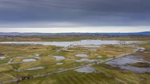 La narse de Nouvialle s'étale sur près de 400 hectares. ©Collectif pour la narse de Nouvialle