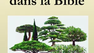 PEB75 - Les arbres dans la Bible © petiteecolebiblique.fr