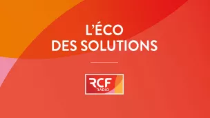 Les décodeurs de l'éco ©rcf