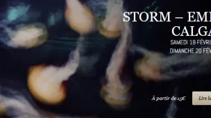 ballet storm©http://www.operagrandavignon.fr/spectacles/storm-emilio-calgano/