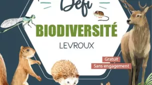 Défi Biodiversité à Levroux. © Facebook Officiel.