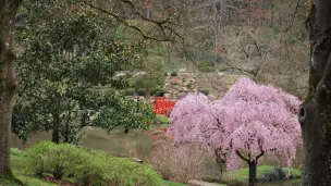 Page Facebook du parc oriental de Maulévrier