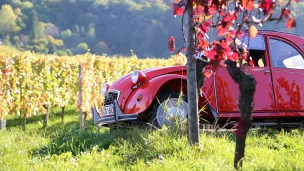 Citroën 2CV - © Georg Eiermann via Unsplash