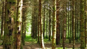 Deux nouvelles randonnées pédagogiques Geotrek sont ouvertes dans le Parc naturel régional du Haut-Jura ©pixabay.com