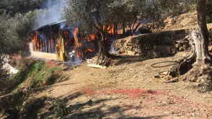 600 poules pondeuses profitaient de cet abris (©Communauté Emmaüs Roya)