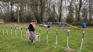 Parcours d'agility © RCF