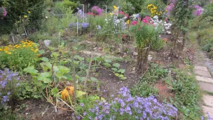 Jardin potager