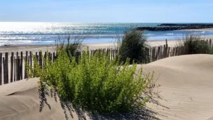 ® RCF Maguelone Hérault - Littoral à Palavas-les-Flots