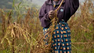 CCFD-Terre Solidaire