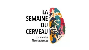 La semaine du cerveau